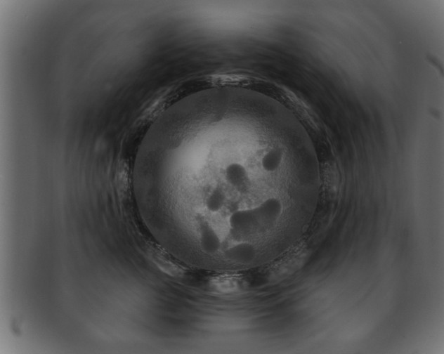 X0000093250761200709261719