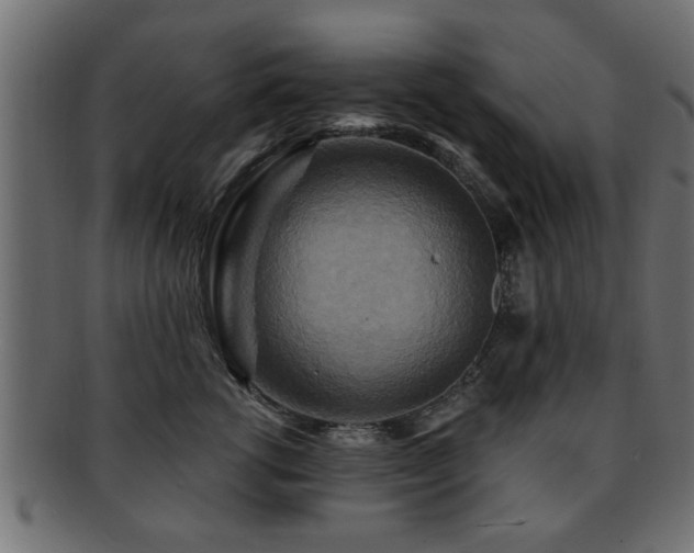 X0000093250762200709261719