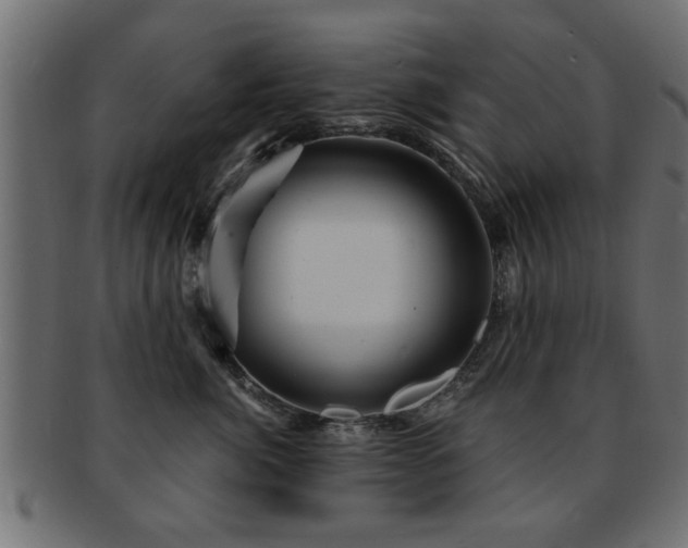 X0000093250764200709261719
