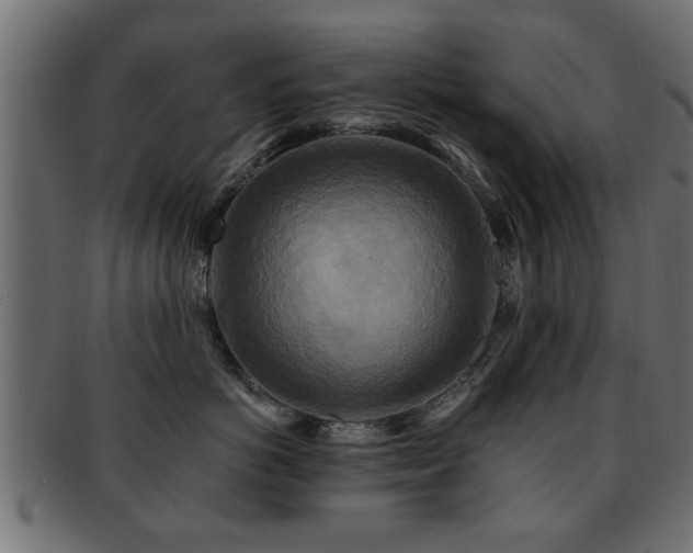 X0000093250766200709261719