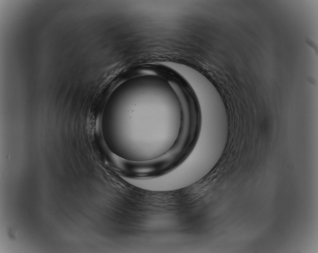 X0000093250768200709261719
