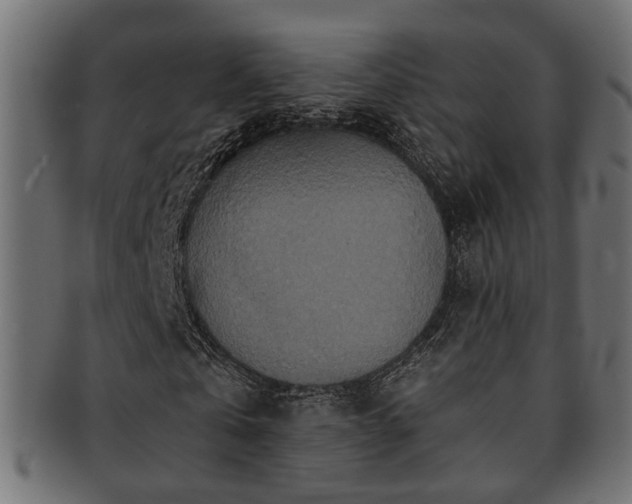 X0000093250769200709261719