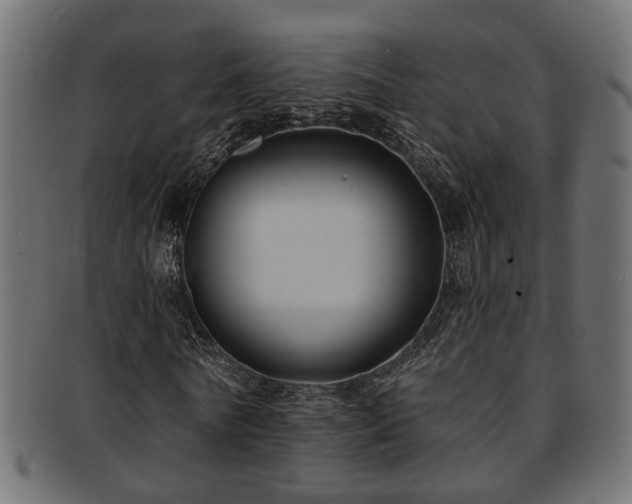 X0000093250770200709261719
