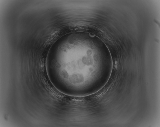 X0000093250771200709261719