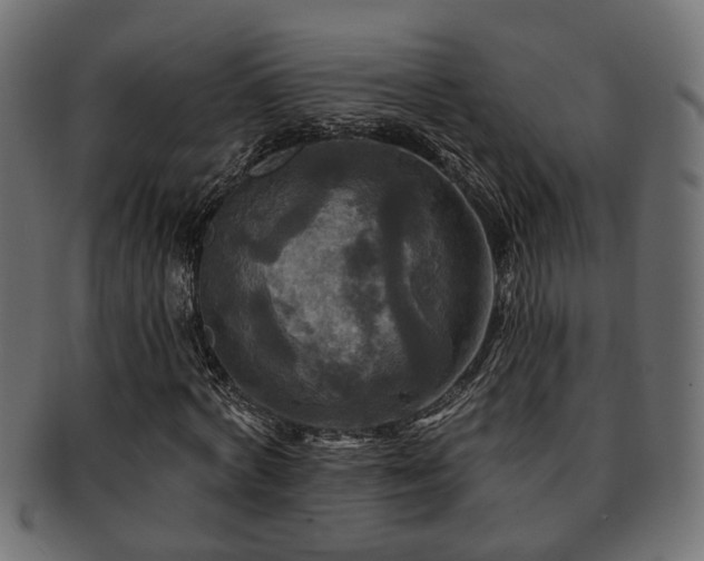 X0000093250772200709261719