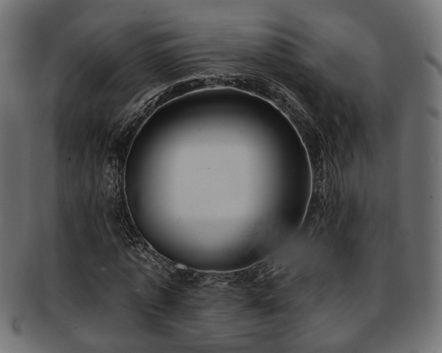 X0000093250773200709261719