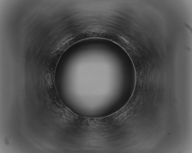 X0000093250774200709261719