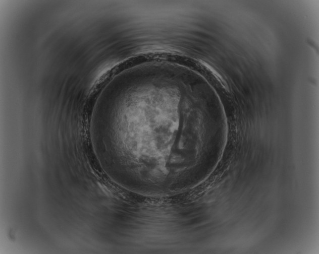 X0000093250775200709261719