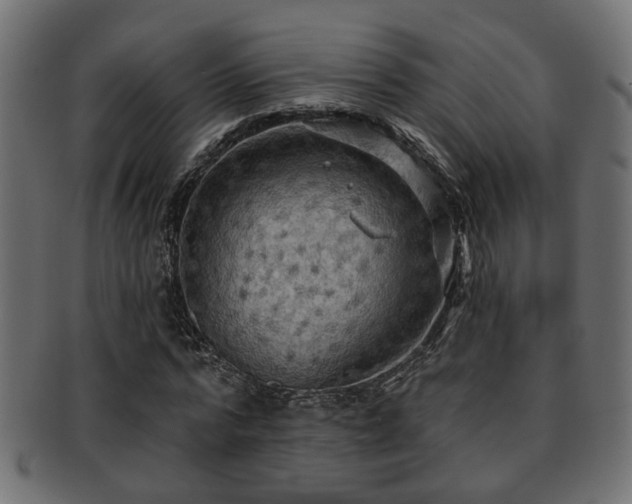 X0000093250776200709261719