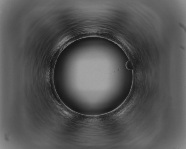 X0000093250778200709261719