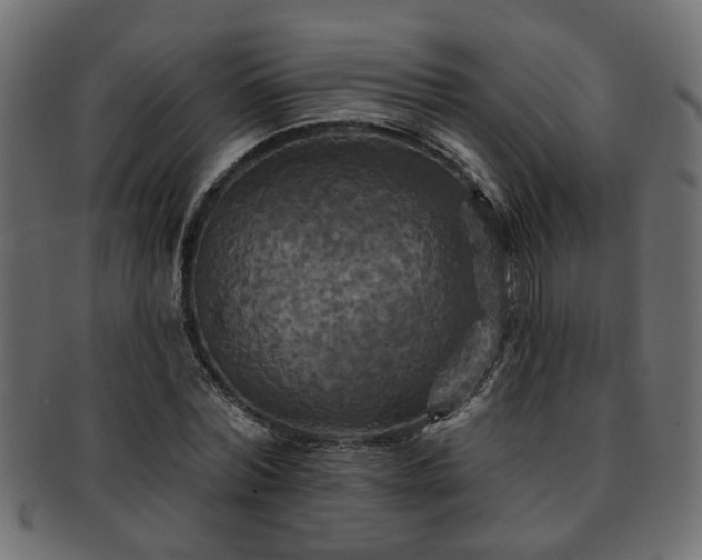 X0000093250780200709261719