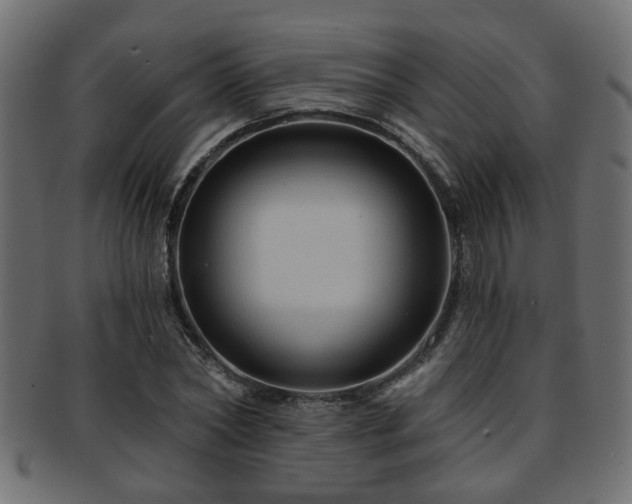 X0000093250782200709261719