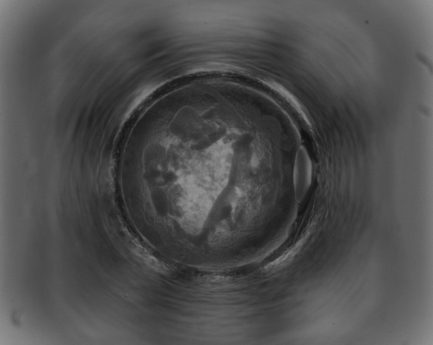 X0000093250783200709261719