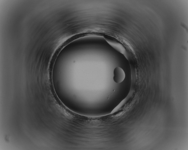 X0000093250784200709261719