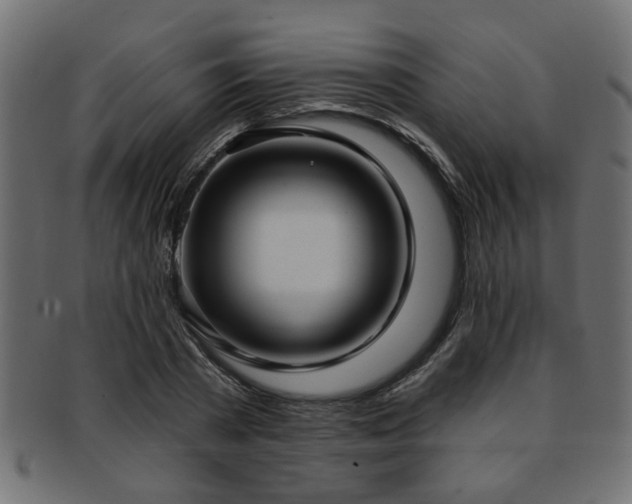X0000093250785200709261719