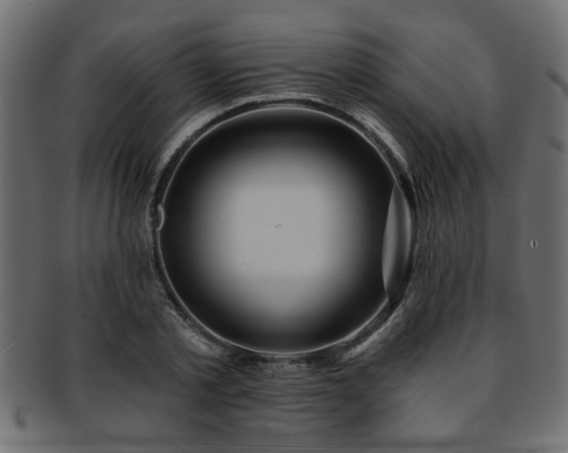 X0000093250789200709261719