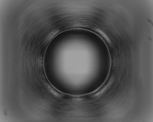 X0000093250793200709261719