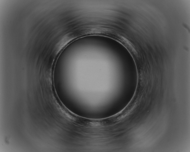 X0000093250794200709261719