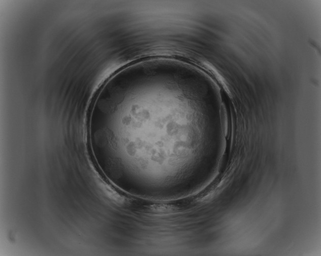 X0000093250795200709261719