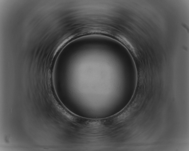 X0000093250798200709261719