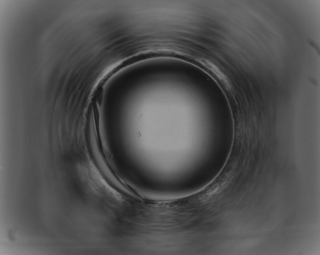 X0000093250799200709261719