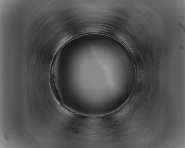 X0000093250802200709261718