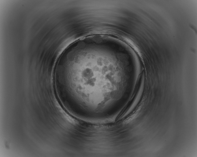 X0000093250803200709261718
