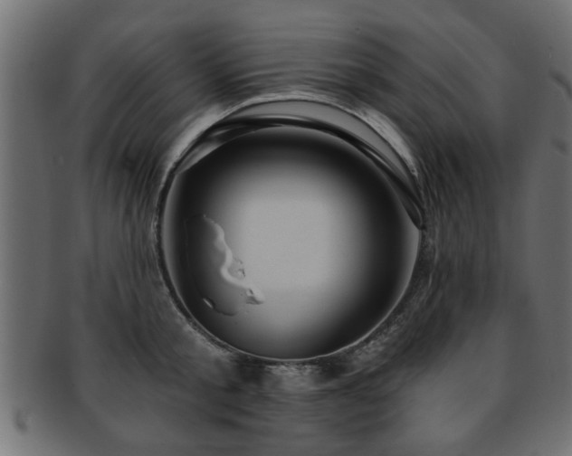 X0000093250805200709261718