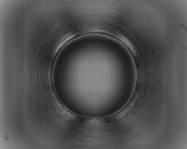 X0000093250806200709261718