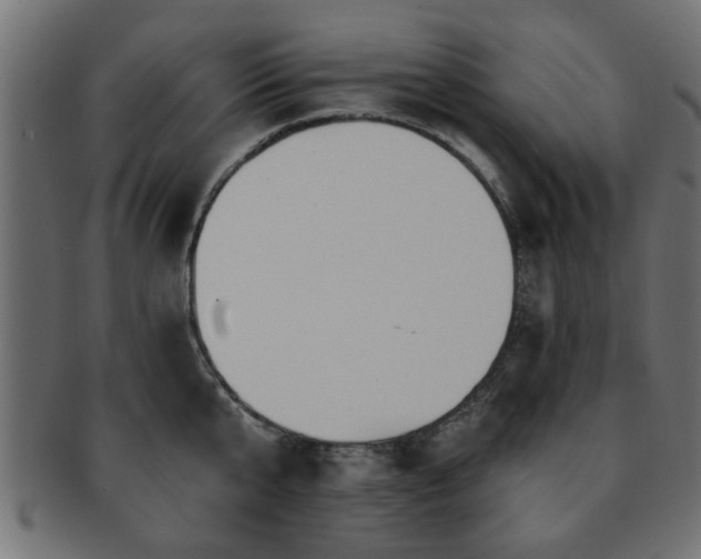 X0000093250807200709261718