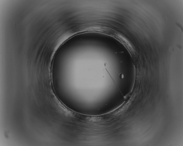 X0000093250808200709261718