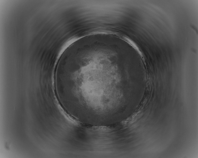 X0000093250811200709261718