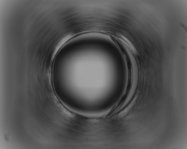 X0000093250812200709261718