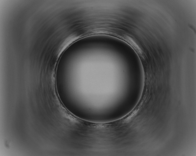 X0000093250814200709261718