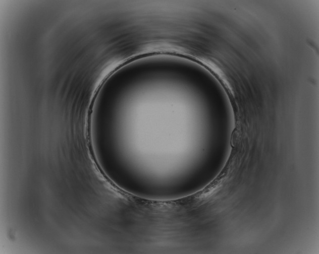 X0000093250815200709261718