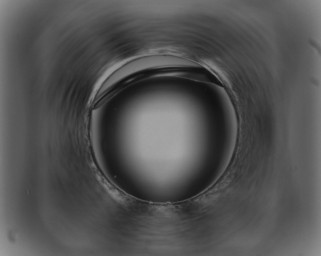 X0000093250816200709261718