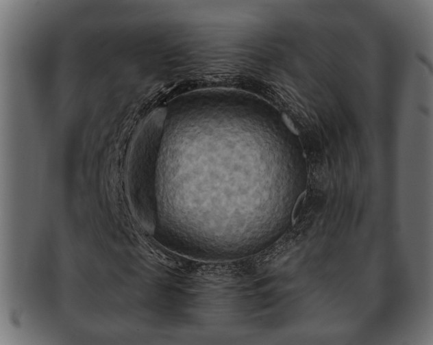 X0000093250817200709261718
