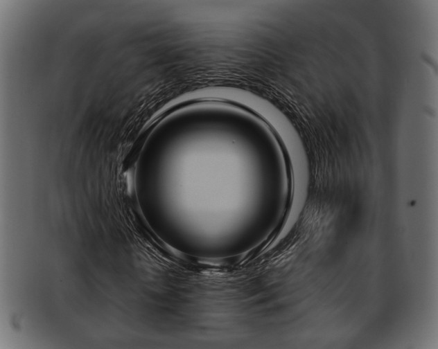X0000093250818200709261718