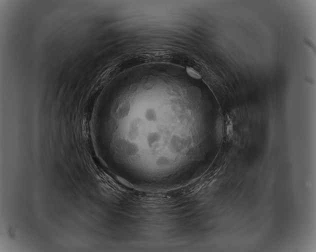 X0000093250819200709261718