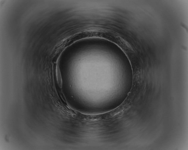 X0000093250821200709261718