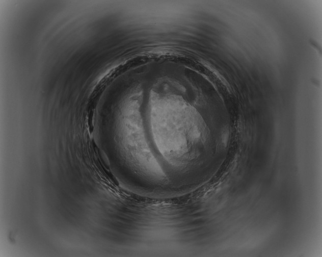 X0000093250823200709261718