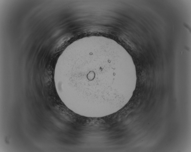 X0000093250824200709261718