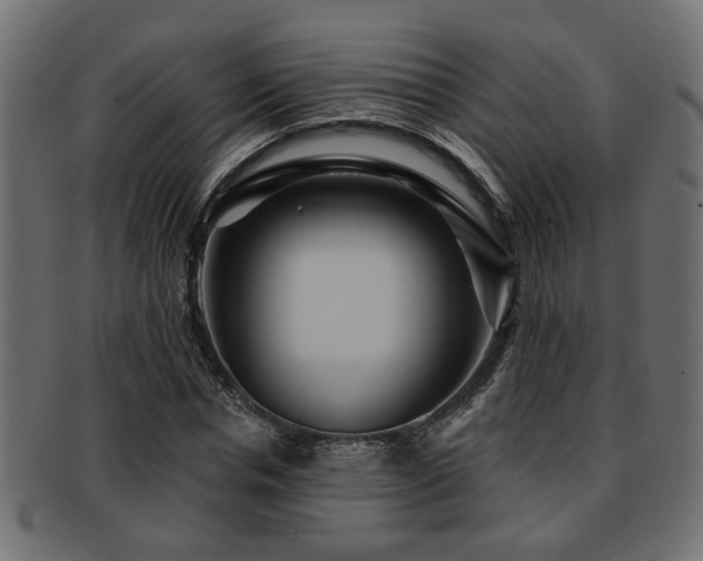 X0000093250826200709261718