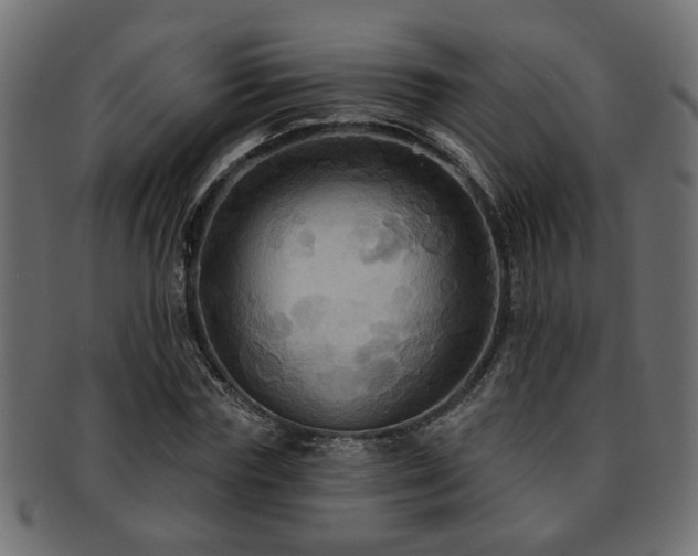 X0000093250827200709261718