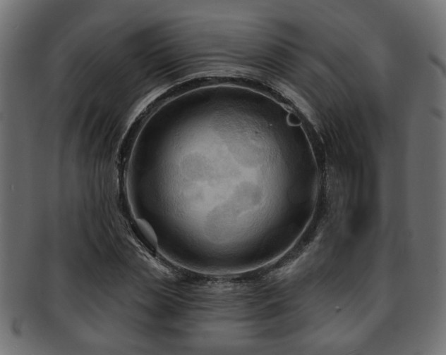 X0000093250829200709261718