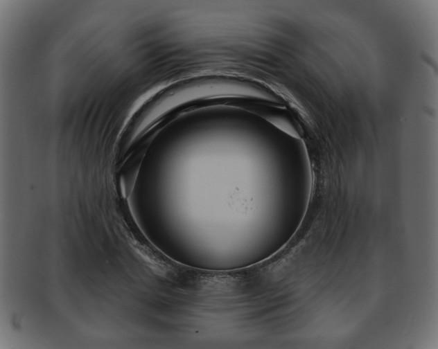 X0000093250830200709261718