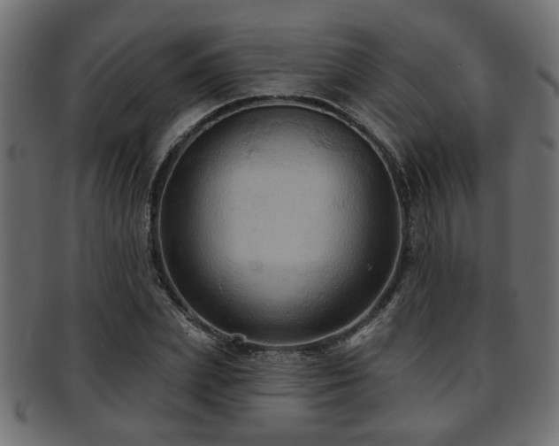 X0000093250831200709261718