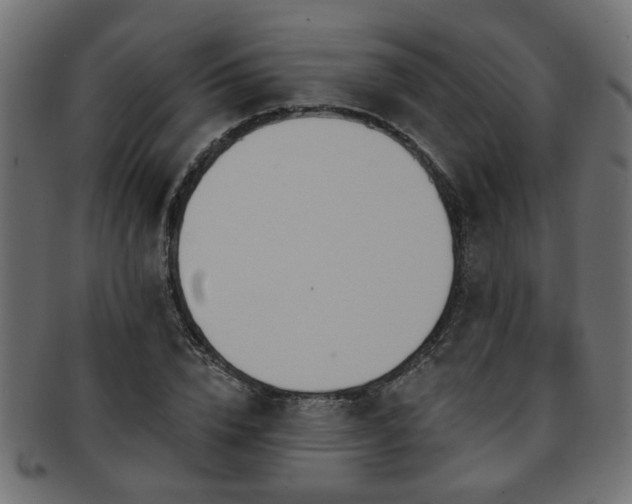 X0000093250832200709261718