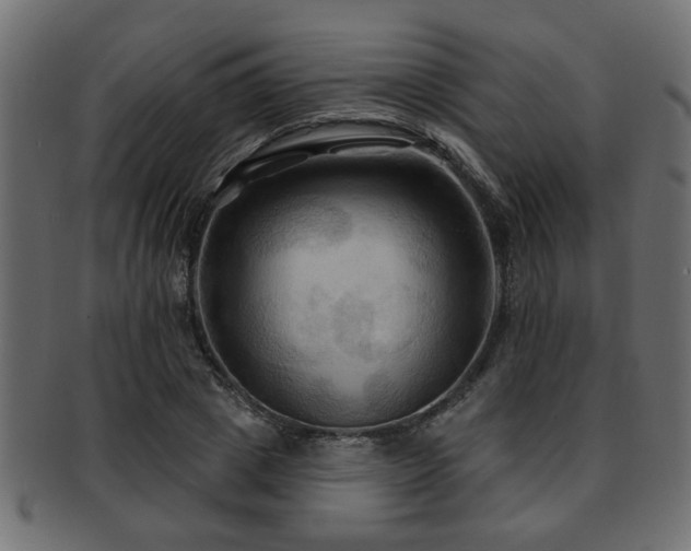 X0000093250833200709261718