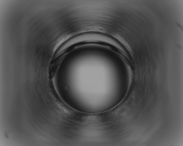 X0000093250834200709261718